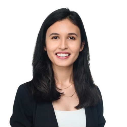 Ceviel Alizadeh-Najmi